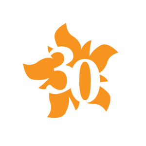 30th Anniversary Icon
